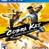 Cobra Kai: The Karate Kid Saga Continues PS4