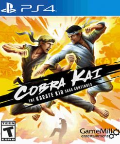 Cobra Kai: The Karate Kid Saga Continues PS4
