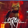 Stray