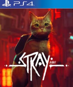 Stray