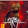 Stray