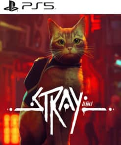 Stray