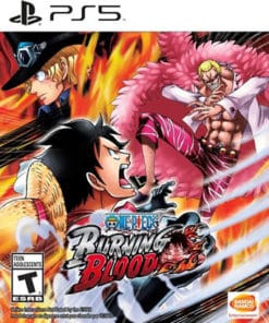 One Piece: Burning Blood PS5 RETRO