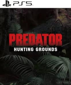 Predator Hunting Grounds
