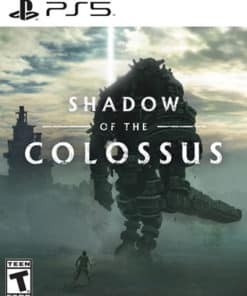 Shadow Of The Colossus