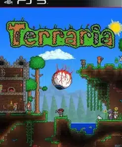 Terraria PS3