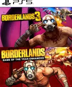 Combo Borderlands Game of the Year Edition + Borderlands 3 PS5 RETRO